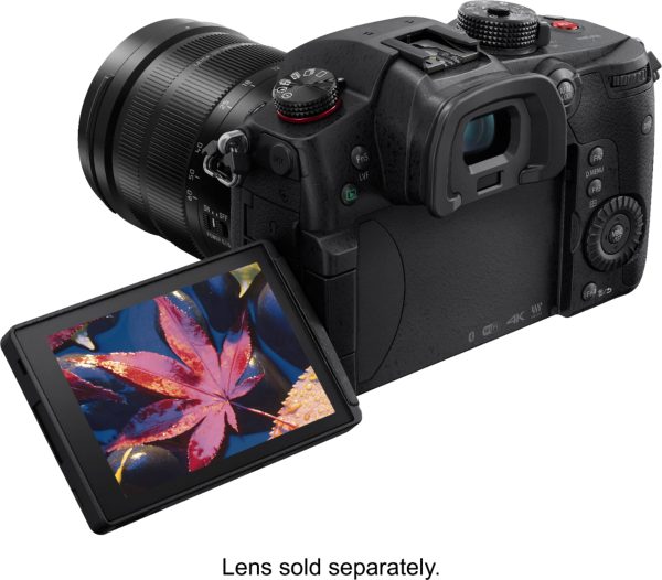 Panasonic LUMIX GH5S Mirrorless 4K Camera Body Professional-6
